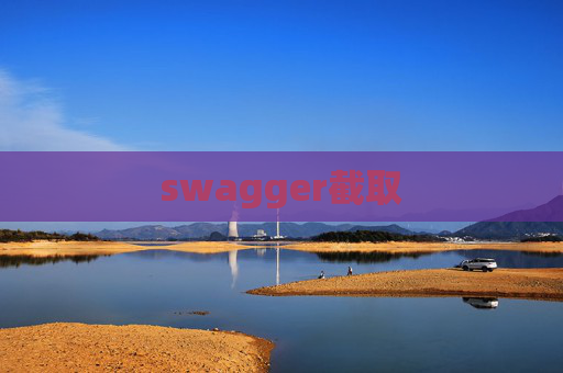 swagger截取